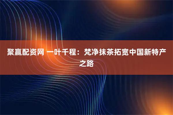 聚赢配资网 一叶千程：梵净抹茶拓宽中国新特产之路