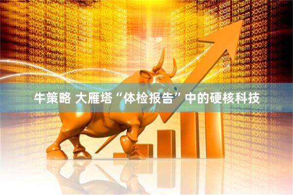 牛策略 大雁塔“体检报告”中的硬核科技